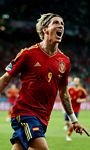 pic for Fernando Torres 768x1280